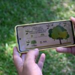 Presentaron una guía para favorecer el conocimiento sobre el arbolado urbano de la ciudad de Corrientes