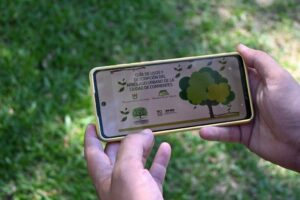 Arbolado-Urbano-6-1024x682