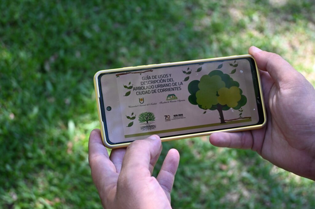 Arbolado-Urbano-6-1024x682