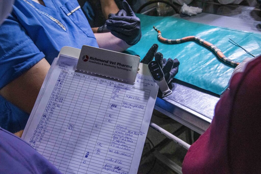 Coral-UNNE_202-1024x682