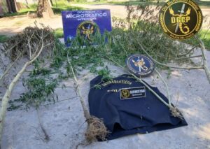 Screenshot_20260313-1938222