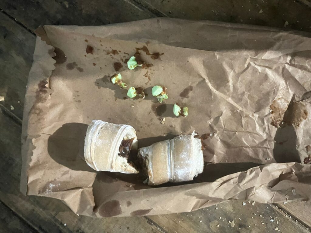 WhatsApp Image 2026-03-01 at 23.31.14 (2)