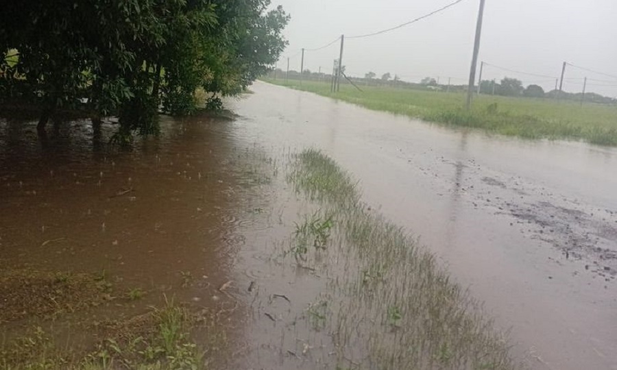 bbx_95922985_2_fontana