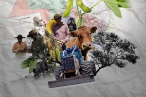 radiografia_agropecuaria_de_chaco