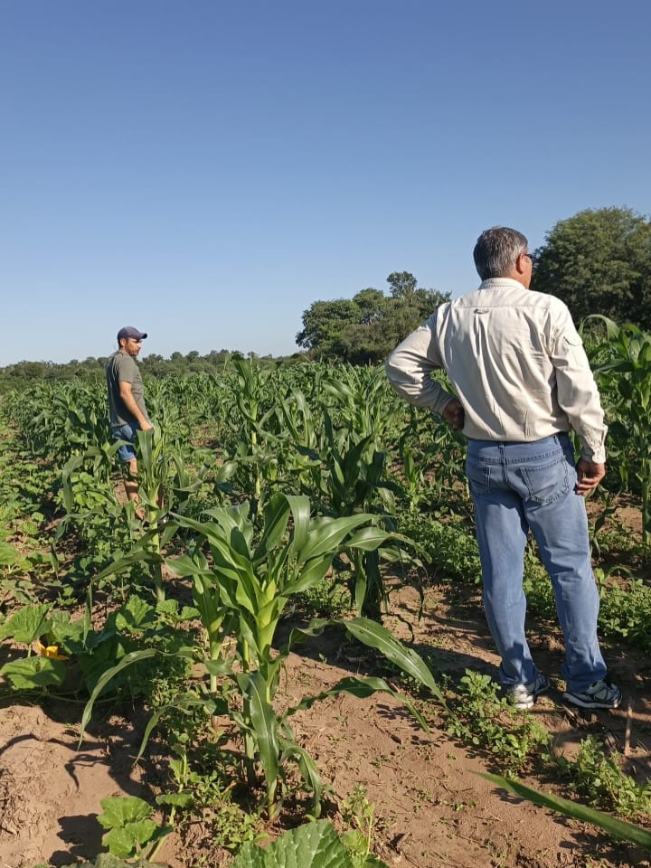 660793305_18107153278859224_2623042973010305762_n