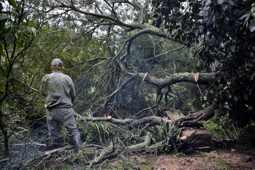 672184109_1278709764362790_1455376870480621022_n