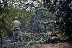 672184109_1278709764362790_1455376870480621022_n