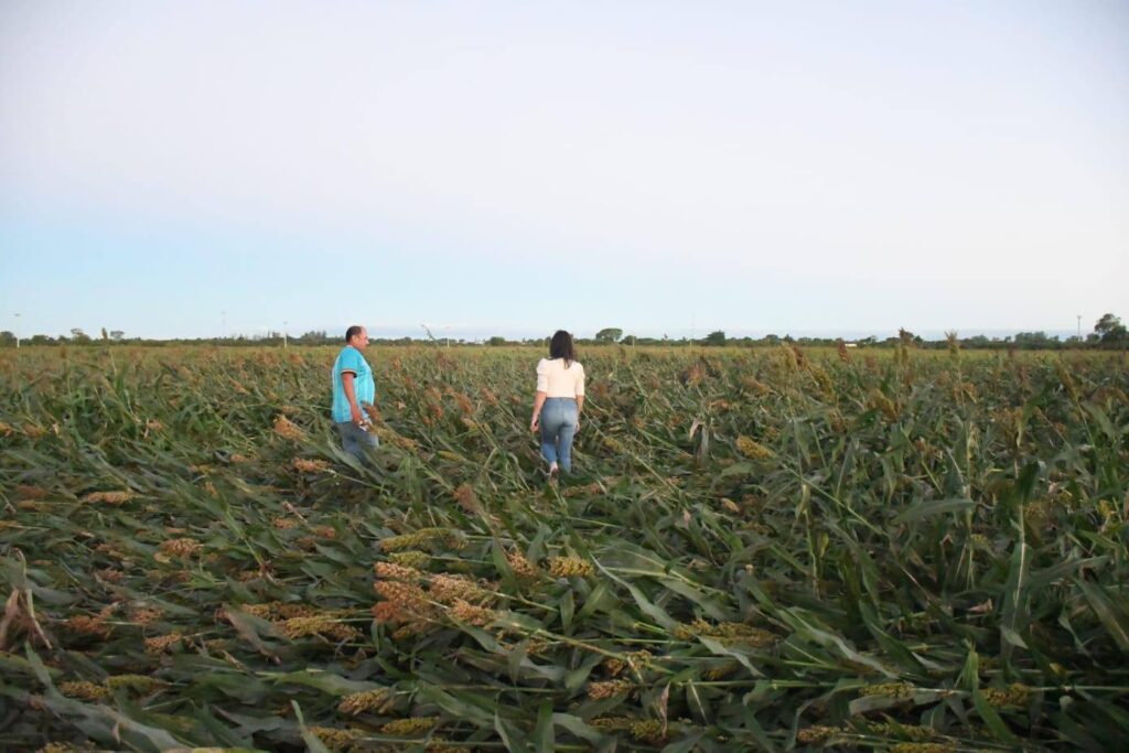 672675343_1386725940160951_6129317332424915339_n