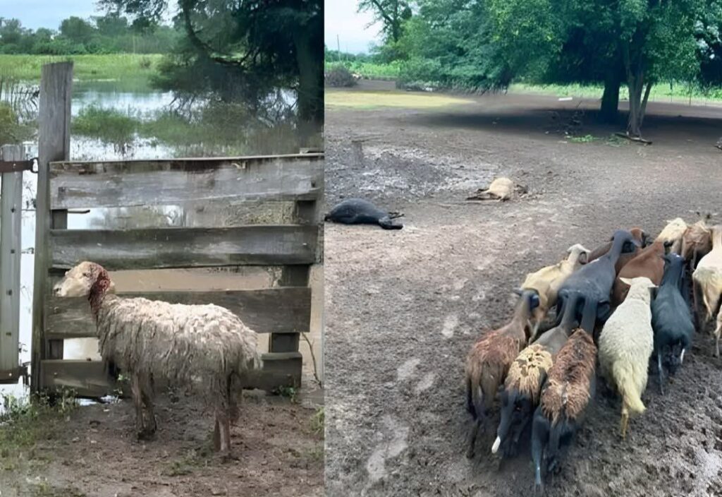 683003629_122211526856360572_7657210903899611210_n