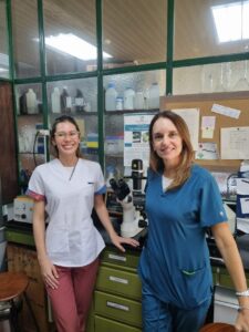 Estudio-de-Fosfolipasas-3