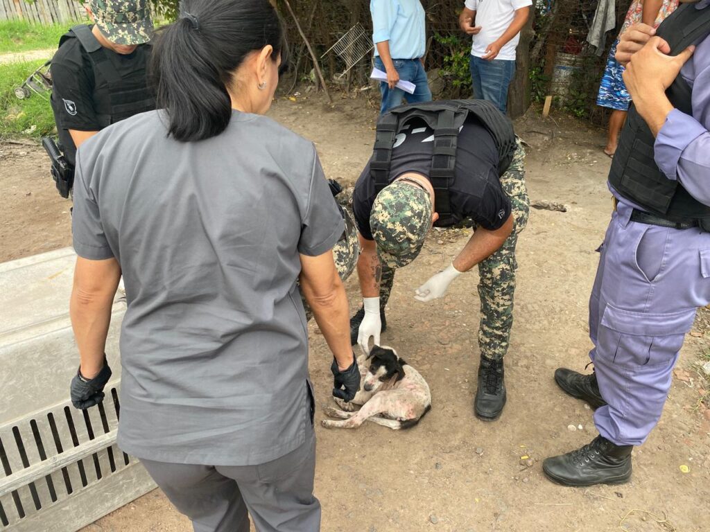 WhatsApp Image 2026-04-06 at 13.33.26