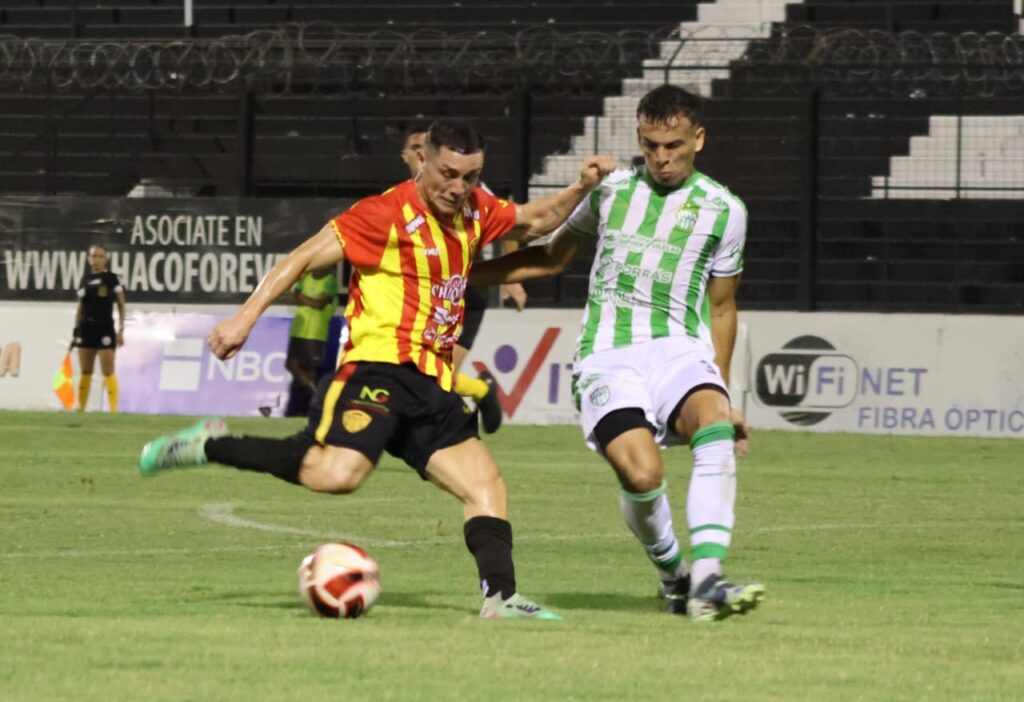 WhatsApp Image 2026-04-13 at 23.17.03