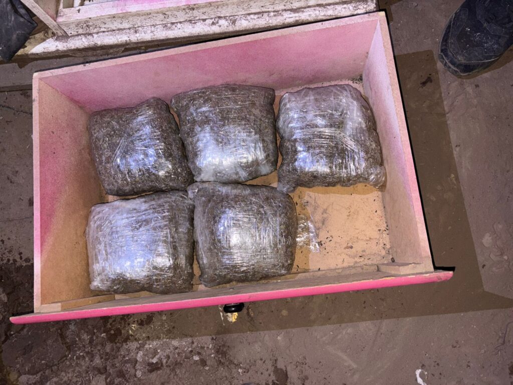 WhatsApp Image 2026-04-17 at 06.35.43 (1)