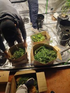 WhatsApp Image 2026-04-17 at 07.46.47