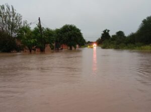 WhatsApp Image 2026-04-20 at 11.23.07 (3)