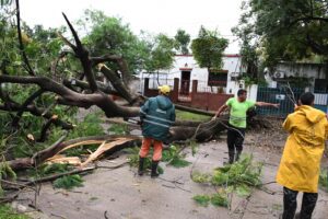 WhatsApp Image 2026-04-20 at 18.52.29 (1)