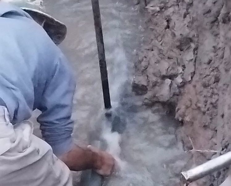 WhatsApp Image 2026-04-29 at 18.52.21