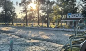 202768w850h511c.webp