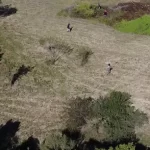Desesperada búsqueda de un joven de 21 años: despliegan amplio operativo por agua, tierra y aire