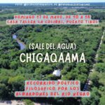 Chigaqaama / Sale del Agua: Cecual propone un recorrido poético y filosófico por el Río Negro