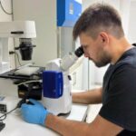 Utilizan membrana de un embrión de pollo para investigar sobre fármacos oncológicos