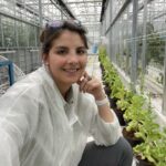 Egresada de la UNNE investiga sobre mejora genética vegetal en una de las universidades líderes del mundo en agricultura