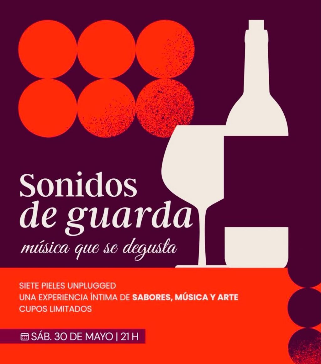 Noche de vinos
