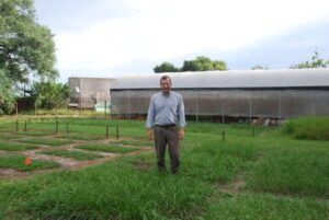 Pasturas-dos-1024x685