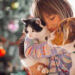 Perros o gatos: una preferencia que también habla de quiénes somos