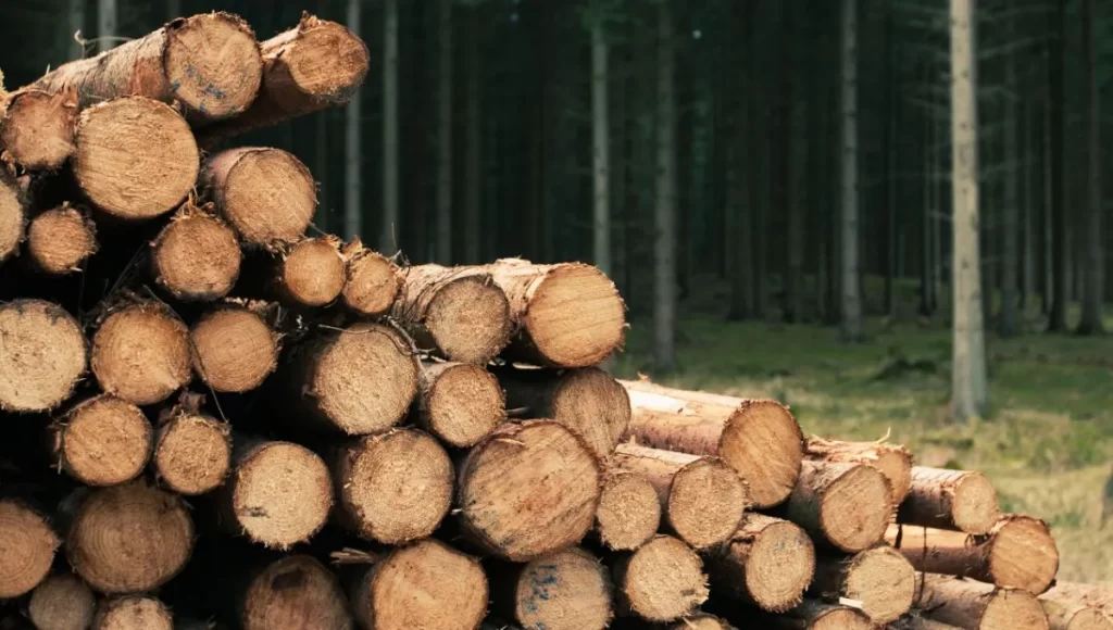 madera-rollo-2