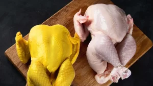 pollos