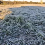 Anticipan heladas y un fuerte descenso de temperatura en el Chaco