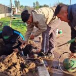 Napenay avanza con obras, mantenimiento y mejoras en los servicios municipales