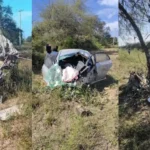 Un automóvil se partió al medio tras chocar contra un árbol