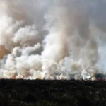 Investigan un incendio de gran magnitud en la zona norte