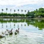 El Complejo Ecológico Municipal, una opción ideal para disfrutar en las vacaciones de invierno