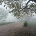 Resistencia amaneció con una espesa neblina que alcanza toda la ciudad