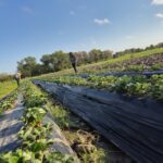Entregaron insumos para fortalecer la huerta escolar de la E.E.P. N.º 8 de Puerto Bastiani
