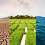 Muchos creen que clima y tiempo son lo mismo, pero no: ¿cuáles son las diferencias?