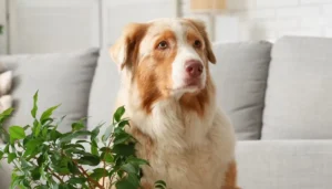 perro-parado-al-lado-una-planta
