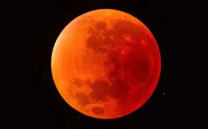 148036w850h528c.webp