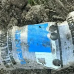 Se detectaron 16 toneladas de papas transportadas sin documentación sanitaria