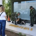 Traían marihuana de Misiones a Resistencia en latas de pintura y los detienen en el puente