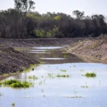 Limpian un canal que une Villa Berthet con San Bernardo, La Tigra y La Clotilde
