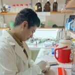 Analizan el ADN del quebracho blanco para entender su historia evolutiva y aportar claves para su conservación