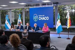 WhatsApp Image 2026-08-18 at 13.02.37