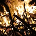 Tragedia en Campo Largo: un hombre con discapacidad murió tras un incendio