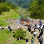 En detalle, las condenas a cuatro de los ocho narcopolicías involucrados en el robo de cocaína