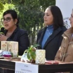 Resistencia se prepara para la Expo Feria de la Yerba Mate y el Alfajore