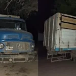 Taco Pozo: un joven atropelló a su padre con un camión mientras cargaban animales y murió